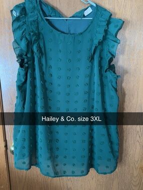 Hailey & Co. Women's Emerald Textured Ruffle Sleeve Blouse - Plus Size